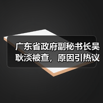 广东省政府副秘书长吴耿淡被查，原因引热议（图1）
