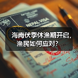 海南伏季休渔期开启，渔民如何应对？（图3）