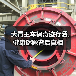 大胃王车祸奇迹存活,健康谜题背后真相(图4) 大胃王车祸奇迹存活,健康谜题背后真相(图4)
