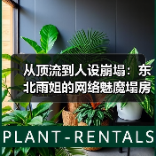 从顶流到人设崩塌：东北雨姐的网络魅魔塌房真相（图1）