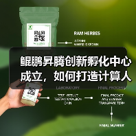 鲲鹏昇腾创新孵化中心成立，如何打造计算人才生态（图2）