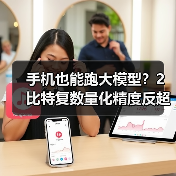 手机也能跑大模型？2比特复数量化精度反超全精度（图3）
