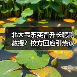 北大韦东奕晋升长聘副教授？校方回应引热议（图2）
