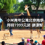 小米青年公寓北京南京月租1999元起 便捷智能生活新选择(图3) 小米青年公寓北京南京月租1999元起 便捷智能生活新选择(图3)