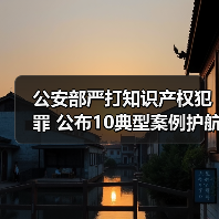 公安部严打知识产权犯罪 公布10典型案例护航高质量发展（图2）