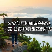 公安部严打知识产权犯罪 公布10典型案例护航高质量发展（图4）