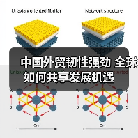 中国外贸韧性强劲 全球如何共享发展机遇（图2）