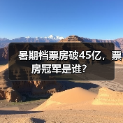 暑期档票房破45亿，票房冠军是谁？（图4）