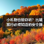 小礼物也能窃听?出境旅行必须知道的安全提示(图3) 小礼物也能窃听?出境旅行必须知道的安全提示(图3)