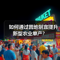 如何通过因地制宜提升新型农业单产？（图2）
