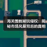 海关围剿潮玩侵权:揭秘市场风暴背后的真相(图4) 海关围剿潮玩侵权:揭秘市场风暴背后的真相(图4)