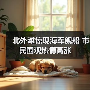 北外滩惊现海军舰船 市民围观热情高涨（图4）