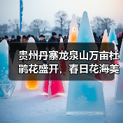 贵州丹寨龙泉山万亩杜鹃花盛开，春日花海美不胜收