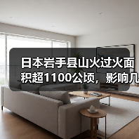 日本岩手县山火过火面积超1100公顷，影响几何？（图2）