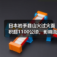 日本岩手县山火过火面积超1100公顷，影响几何？（图4）