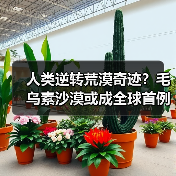 人类逆转荒漠奇迹?毛乌素沙漠或成全球首例消失沙漠(图2) 人类逆转荒漠奇迹?毛乌素沙漠或成全球首例消失沙漠(图2)