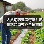 人类逆转荒漠奇迹?毛乌素沙漠或成全球首例消失沙漠(图4) 人类逆转荒漠奇迹?毛乌素沙漠或成全球首例消失沙漠(图4)