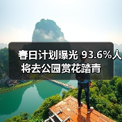 春日计划曝光 93.6%人将去公园赏花踏