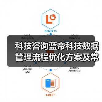 科技咨询蓝帝科技数据管理流程优化方案及常见问题解决(图2) 科技咨询蓝帝科技数据管理流程优化方案及常见问题解决(图2)
