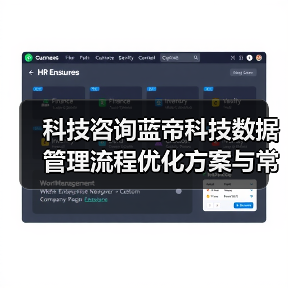 科技咨询蓝帝科技数据管理流程优化方案与常