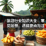 旅游行业知识大全:常见场景、选择要点与注意事项(图1) 旅游行业知识大全:常见场景、选择要点与注意事项(图1)