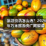 旅游资讯怎么选？2026年万米旅游央广网