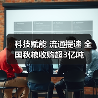 科技赋能 流通提速 全国秋粮收购超3亿吨(图3) 科技赋能 流通提速 全国秋粮收购超3亿吨(图3)