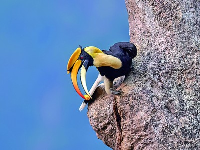 没想到，牧民当向导年入百万，竟是因为这个“小众”旅游火了(图3)