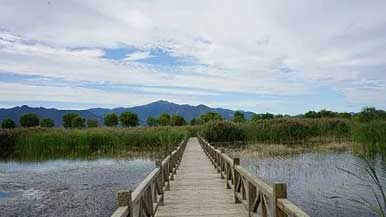 野鸭湖候鸟食堂面积扩大3倍，背后竟藏着这