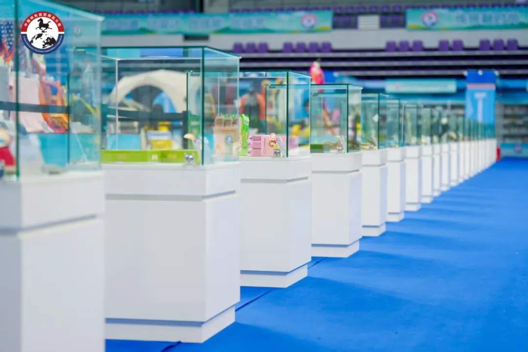 大连旅游商品全国大赛斩获多项大奖，彰显本土创新实力(图3)