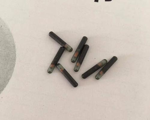 狗晶片如何守护爱宠安全?解析其作用与使用方法(图3) 狗晶片如何守护爱宠安全?解析其作用与使用方法(图3)