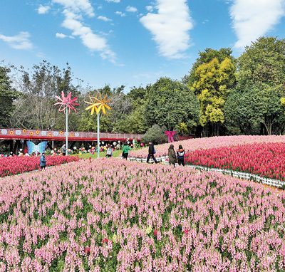 旅游过年释放消费新动能(图7)