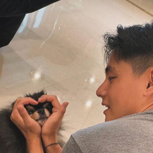 明星与爱犬的温情故事：揭秘娱乐圈的宠物情缘(图3)