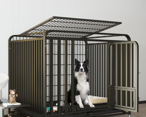 狗狗旅行笼子选购指南：安全舒适与便携性全解析(图1)