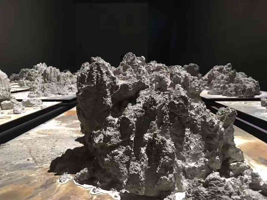 艺术家展望大型回顾展：科技与自然交汇下的